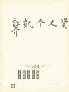 许凯个人资料简介