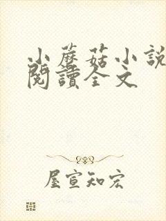 小蘑菇小说免费阅读全文