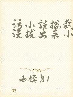 污小说总裁整夜没拔出来小说在线阅读