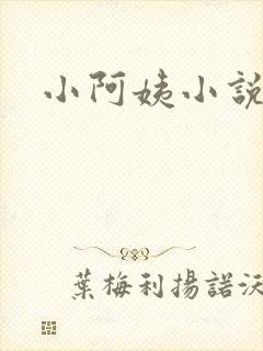 小阿姨小说