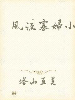 风流寡妇小说