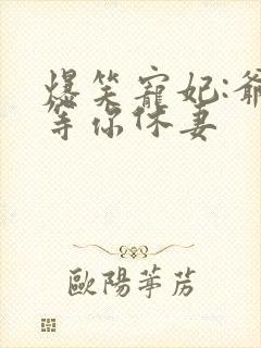 爆笑宠妃:爷我等你休妻