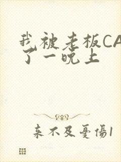 我被老板CAO了一晚上