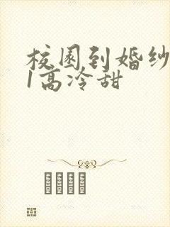 校园到婚纱1V1高冷甜