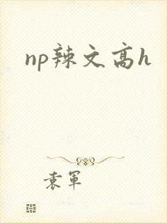 np辣文高h