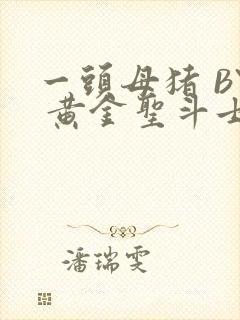 一头母猪 BY 黄金圣斗士