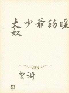 大少爷的暖床小奴