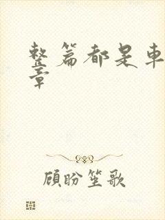 整篇都是车的文章