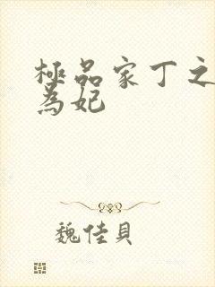 极品家丁之册母为妃