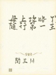 母上攻略 竹影随行第一主板