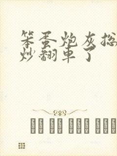 笨蛋炮灰总被爆炒翻车了