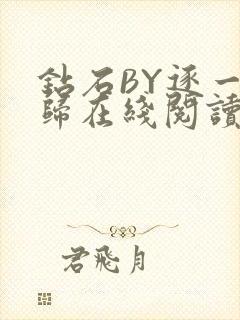 钻石BY逐一而归在线阅读