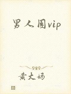 男人团vip