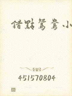 错点鸳鸯小说