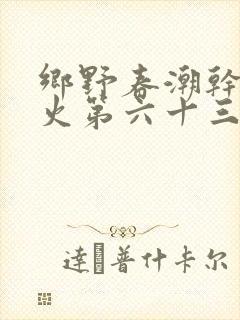 乡野春潮干柴烈火第六十三章