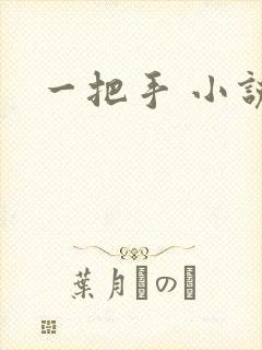 一把手 小说