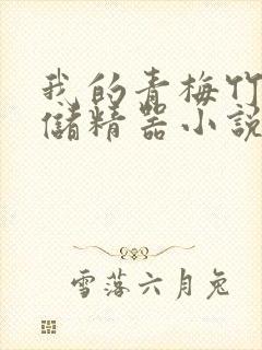 我的青梅竹马是储精器小说