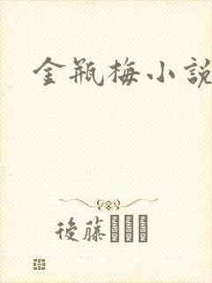 金瓶梅小说在线