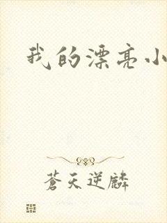 我的漂亮小后妈