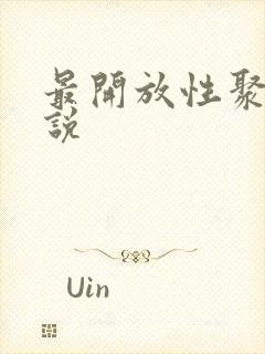 最开放性聚会小说