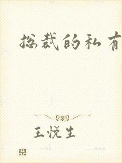 总裁的私有宝贝