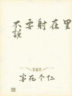 不要射在里面小说