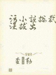 污小说总裁整夜没拔出