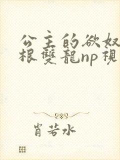 公主的欲奴h四根双龙np视频