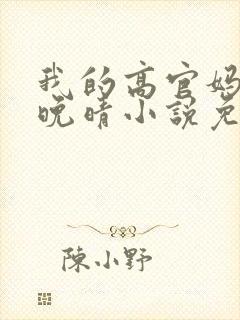 我的高官妈妈苏晚晴小说免费阅读