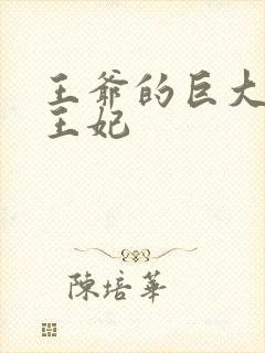 王爷的巨大进入王妃