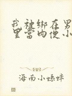 我被绑在男公厕里当肉便小说