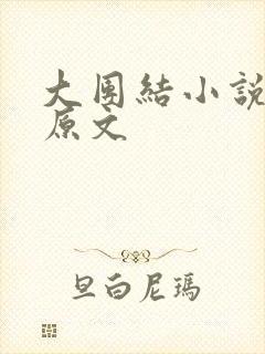 大团结小说阅读原文