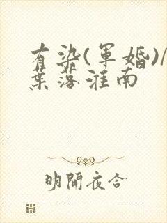 有染(军婚)/叶落淮南