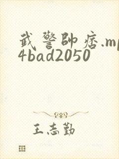 武警帅痞.mp4bad2050