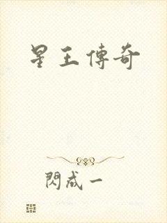 星王传奇