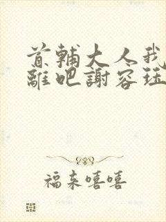 首辅大人我们和离吧谢容珏