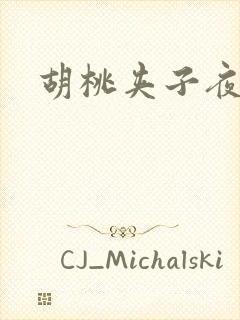 胡桃夹子夜未眠