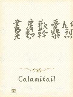 书房欢爱h双乳晃动干柴烈火