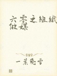 六零之组织给我做媒