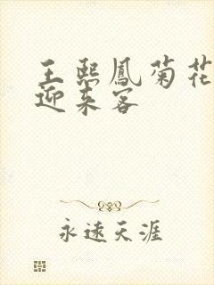 王熙凤菊花门初迎来客