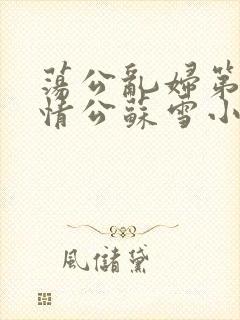 荡公乱妇第1章情公苏雪小说