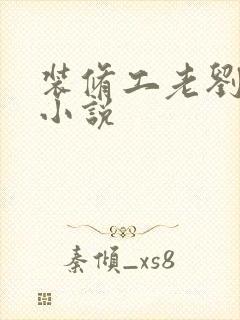 装修工老刘林雪小说