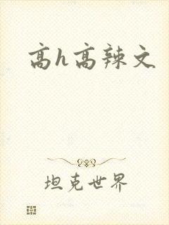 高h高辣文