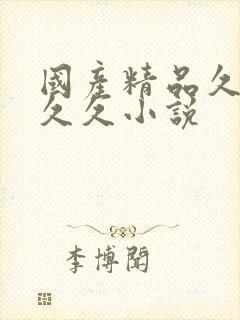 国产精品久久久久久小说