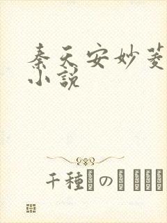 秦天安妙菱修仙小说