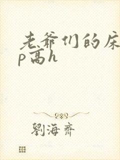 老爷们的床奴np高h