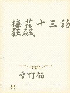 梅花十三的乳液狂飙