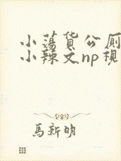 小荡货公厕h文小辣文np视频