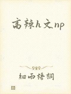 高辣h文np
