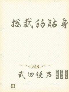 总裁的贴身女佣